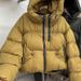 Cross-Border European Jacket Autumn Winter Down Cotton Coat Women's Short Hooded Thickened Warm Stylish Korean Version_ecoleips.com