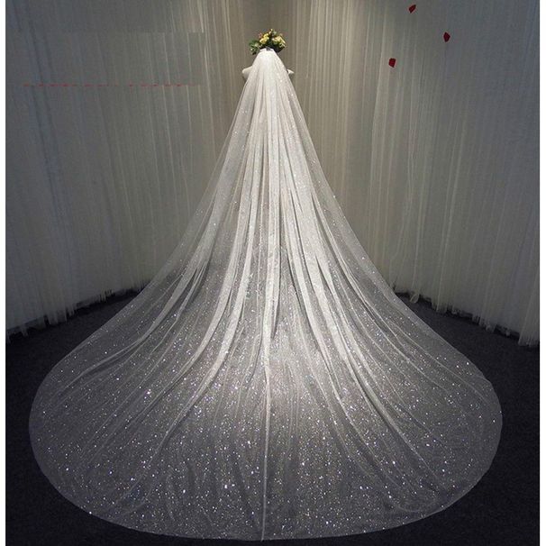 Shiny Dazzling Sequined Lace Veil for Bride Long Wedding Dress Trim Headdress_ecoleips.com