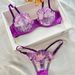 Aria Basics Popular European American Lingerie Set For Women, Sexy Underwear With Embroidered Lace In Purple-red, Alluring And_ecoleips.com