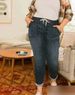 Women's Clothing Denim Pants Elastic Waistband Design Denim Jeans_ecoleips.com