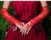 Women's Clothing Bride Black Lace Party Gloves Mesh Sleeves Wedding Dress Halloween Long Fingerless Over Elbow Transparent_ecoleips.com