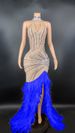 Women's Clothing High Quality Long Sleeve Rhinestone Dress Split Club Luxury Feather Long Dress_ecoleips.com