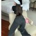 Women's High Waist Slimming Straight Leg Jeans Diamond Design Spring New Loose Wide Leg Trousers Office Lady Cotton Polyester_ecoleips.com