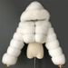 Women's Clothing Fur Coat Women Colorful Short Coat Hooded Warm Top Large Size_ecoleips.com
