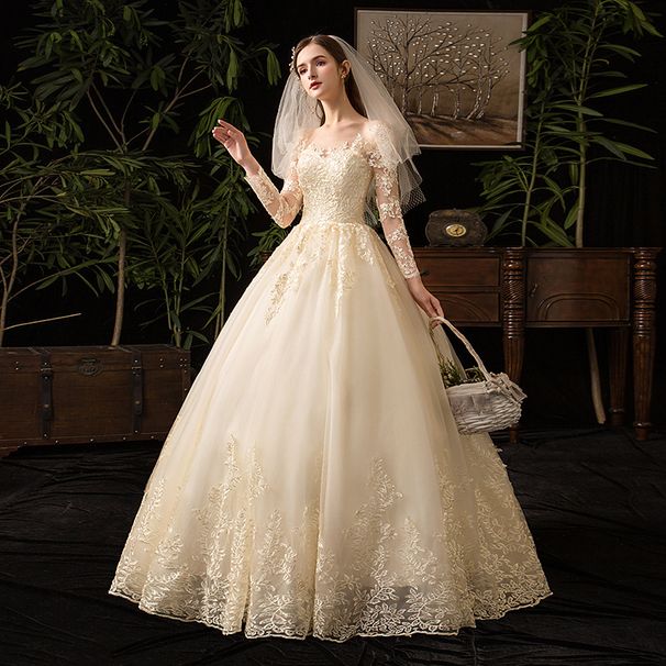 Elegant Long Sleeve Lace Wedding Dress With Princess Sleeves, A-Line Silhouette, And Corset Back – Plus Size Available_ecoleips.com