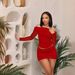 Women's Mesh Panel Casual Dress Set 2-Piece Outfit Long Sleeve Short Skirt Combo For Work & Daily Wear_ecoleips.com