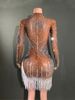 Women's Clothing Glitter Mesh Bodycon Mini Dress Rhinestones Fringe Sexy Sleeveless Party Dress For Stage Performance Evening Events (Coffee)_ecoleips.com