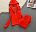 Women's Velvet Two Piece Set Spring Autumn Casual Sports Suit Solid Color Hooded Cardigan Straight Leg Pants_ecoleips.com
