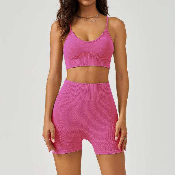 Women's Clothing Frosted Sports Yoga Suits For Women High Waist Hip Shorts Shockproof Bra Quick Dry Fitness Suit_ecoleips.com
