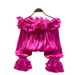 Sweet Off-Shoulder Chiffon Blouse Ruffled Trim Korean Style Long Sleeves Loose Fit Slimming Pink Elegant Top for Summer Women's Clothing_ecoleips.com