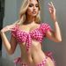 Women's Clothing Exclusive Split Swimsuit Sexy Bikini Girl Plaid Strap Swimsuit Beach Vacation Swimsuit Female_ecoleips.com