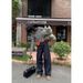 Women's Clothing Design Drape Jeans Women's High Waist Loose Casual Wide Leg Pants_ecoleips.com