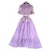 Elegant A-Line Dress Lace Trim Slimming Pleated Long Skirt Casual Professional Summer Dress For Women_ecoleips.com