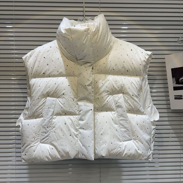 Women's Clothing New spring style, the same style as the Internet celebrity, niche style, hot girl street blasting, warm cotton padded vest jacket_ecoleips.com
