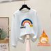Women's Loose Fit Fleece Lined Thickened Sweatshirt European American Style Autumn Winter New Rainbow Letter Pure Cotton Top_ecoleips.com