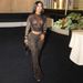 Animal Print Two Piece Set Women's Fashion High Waist Jumpsuit Long Sleeve Bodycon Outfit Comfortable & Stretchy Fabric_ecoleips.com