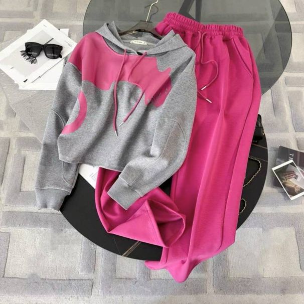 Women's Clothing Age Reducing Stylish Casual Sportswear Suit For Women Spring Hooded Sweatshirt Wide Leg Pants Two Piece Suit Fashionable And Slim_ecoleips.com