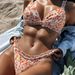 Floral Print Bikini Set – Women’S Sexy Triangle Top & High-Cut Bottom (Polyester/Spandex, Removable Padding, Quick-Dry Fabric)_ecoleips.com