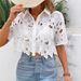 Women’s Lace Blouse – Short Sleeve Elegant Shirt (Black/White) | S-XXL | Office & Vacation_ecoleips.com