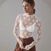 2025 Sheer Lace Top Mesh Multi-color Base Shirt Sexy Hot Girl Trendy T-shirt_ecoleips.com
