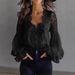 Elegant Lace-Paneled Puff Sleeve Blouse With Pleated Detailing – Ballet-Inspired Women's Top For Casual & Formal Wear_ecoleips.com