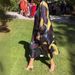 Women's Clothing Printed Contrast Color Deep V Long Sleeve Dress Women's Clothing_ecoleips.com