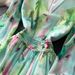 Women's Clothing Gentle Printed Lantern Sleeves V Neck Dress For Women In Summer With Slim Waist And Long Swing For Light Luxury Long Skirt_ecoleips.com