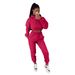 Women's Velvet Hooded Sweatshirt Casual Two-Piece Suit European American Style Autumn Winter Plus Size Clothing_ecoleips.com