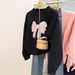 Korean-style Real-shot Plus-size Round-neck Sweatshirt Without Hood Women, Loose-fitting, Thin, Embroidered Long-sleeve_ecoleips.com