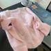 Korean-style Early Autumn Outfit: Women's Knitted Cardigan, 2025 New Model, High-end Fashion Sea-horse Wool Sweater_ecoleips.com