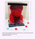 Artificial & Dried Flowers_ecoleips