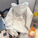 Men's Hooded Sweatshirt 2025 New Style American Design Casual Fleece Lined Thickened Long Sleeved Top for Autumn/Winter_ecoleips.com
