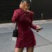 AC668 European And American Popular Early Spring Sexy Style Mesh Floral Round Neck Long Sleeve Dress For Women_ecoleips.com
