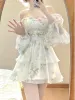 French Elegant Floral Mini Dress Chiffon Long Sleeve Evening Party Dress Women Holiday Beach Boho Fairy Dress Korean 2024 Robes_ecoleips.com