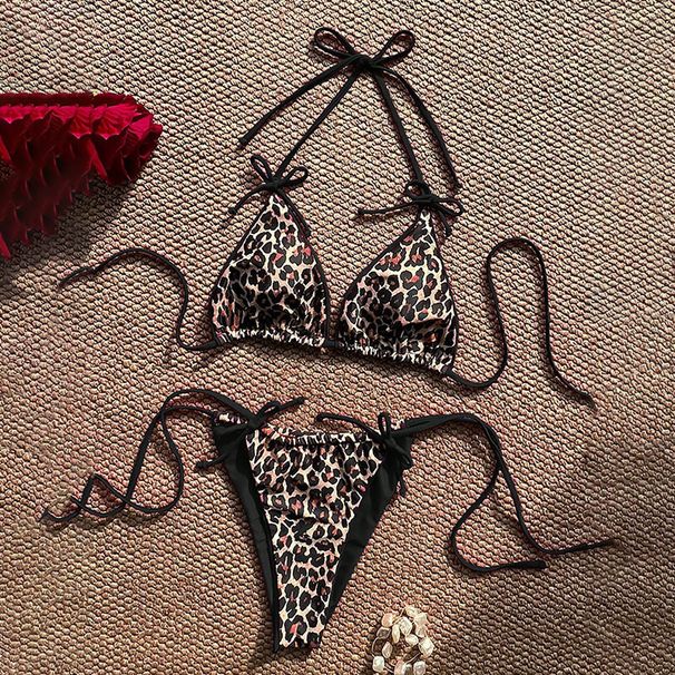 Leopard Print Color Block Two Piece Swimsuit High End Beach Bikini for Women Lace up Design European And American Style Hot Spring Swimwear 2026_ecoleips.com