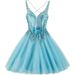 Women's Clothing Evening Dress Short Temperament Banquet Stage Performance Small Dress Daily Wear Puffy Skirt New Style_ecoleips.com