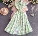 Youthful French Style Embroidered Print Dress With Raglan Sleeves Button Down Waist Cinching Long Light Luxury Summer Dress_ecoleips.com