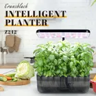 Plant Support & Care_ecoleips