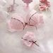 girl Super Beautiful Fresh Japanese Style Ribbon Embroidery Thin Cup Student Girl Cute Push-Up Sexy Bra Set_ecoleips.com