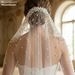 Manzhen Long Waltz Bridal Veil European American Style Pearl Soft Net with Hair Comb Versatile Wedding Headdress V172_ecoleips.com