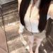 New Autumn French-Style Elegant Light-Luxury Zippered Long-Sleeve Slim-Fit Fashionable Slimming Sweater Coat_ecoleips.com
