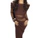 Diyun European And American Elegant Off-Shoulder Sleeve Mesh Long Dress Women's Fashion 2025 Autumn Winter_ecoleips.com