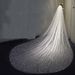 Shiny Dazzling Sequined Lace Veil for Bride Long Wedding Dress Trim Headdress_ecoleips.com