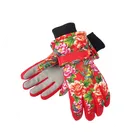 Ski Gloves_ecoleips
