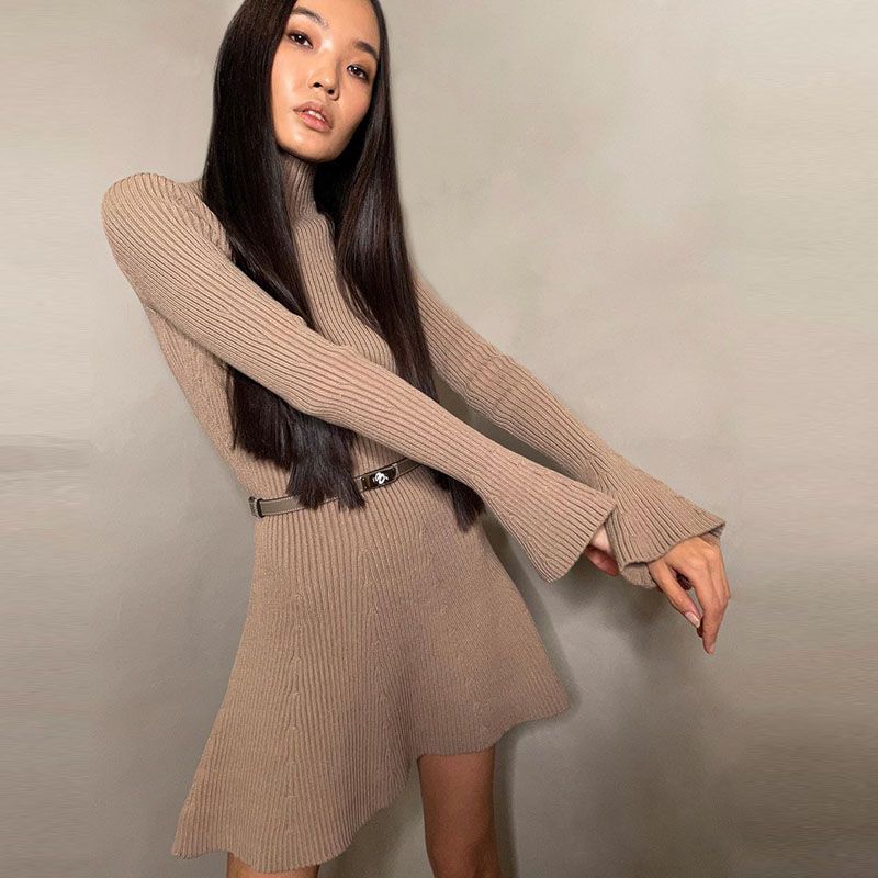Versatile Knitted Turtleneck Short Dress Women Casual Slim Fit Long Sleeve Mini Dresses Female Spring Chic Elegant Street Party_ecoleips.com