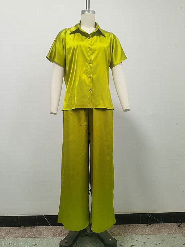 Elegant Women's Two Piece Set Summer Style Collared Short Sleeve Backless Slim Fit Shirt & High Waisted Straight Leg Pants_ecoleips.com