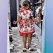Women's Ethnic Print Pleated Skirt And Shirt Set Casual Flowy plus Size JK Style Spring Collection Outfit_ecoleips.com