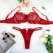 Aria Basics European American Women's Lingerie Set, Lace Embroidered High-end Underwire Bra And Triangle Panties, Sexy See-through_ecoleips.com