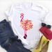 European And American Cross-border Foreign Trade Clothing, Flamingo Pattern Round-neck Printed Women's Short-sleeve_ecoleips.com