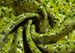 23 Summer New Women's European And American Style Fashionable Slimming Green Floral Split Strap Dress With Shoulder Ties_ecoleips.com